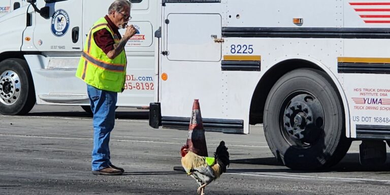 Tovább harcol Karsai Dániel, a NASA-ban jártak a magyar űrhajósok – híradó