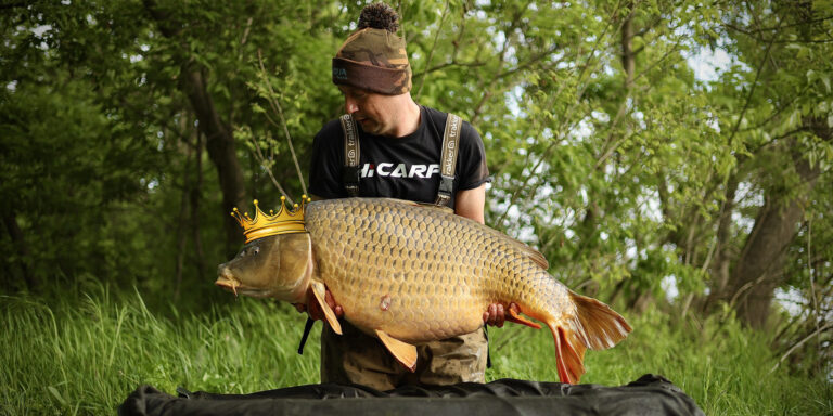 Kifogták a gigapontyot, rengeteg gyereket érhet online bántalmazás – híradó