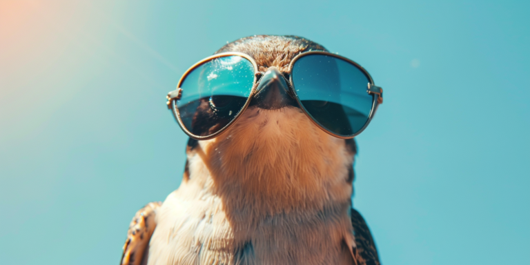 Mennyi ideig tud repülni egy madár leszállás nélkül?