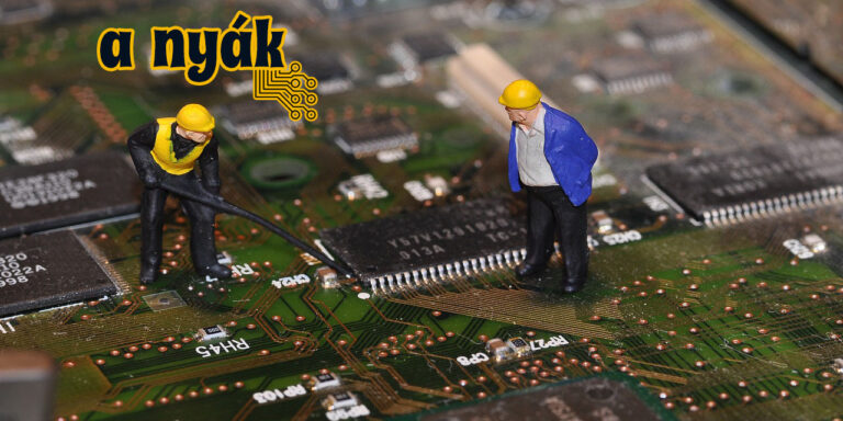 Burgonya ága, malacka virága!