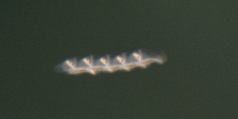 Láthatatlan, földönkívüli kígyók repkednek körülöttünk? Nem.