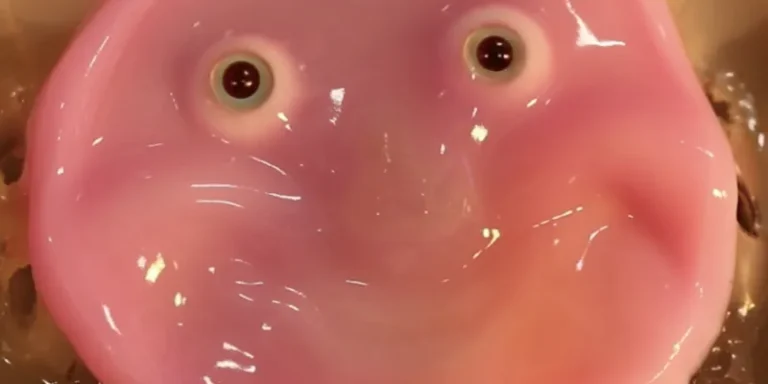 Élő bőrt varázsoltak a tudósok egy robot arcára