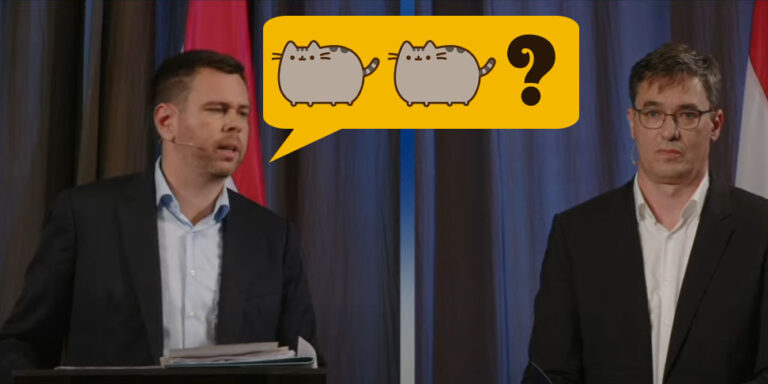 A macskabefogadó képességről is vitáztak a főpolgármester-jelöltek