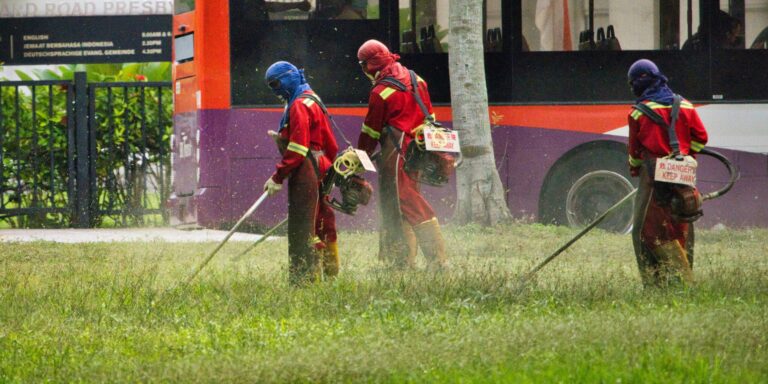 Levágták nála a füvet, beperelte egy kanadai férfi a lakóhelye önkormányzatát