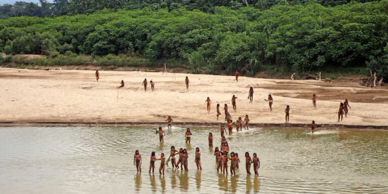 Ritka fotók: az Amazonas elszigetelt törzsei kiszorulnak az erdőkből a fakitermelés miatt