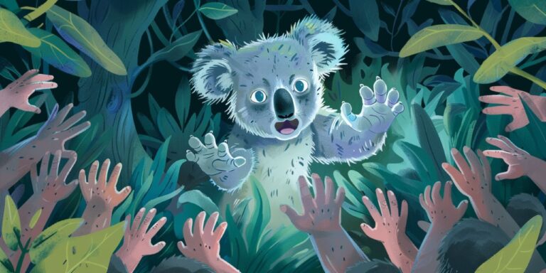 Nincs többé koalaölelgetés a legismertebb menedékhelyen