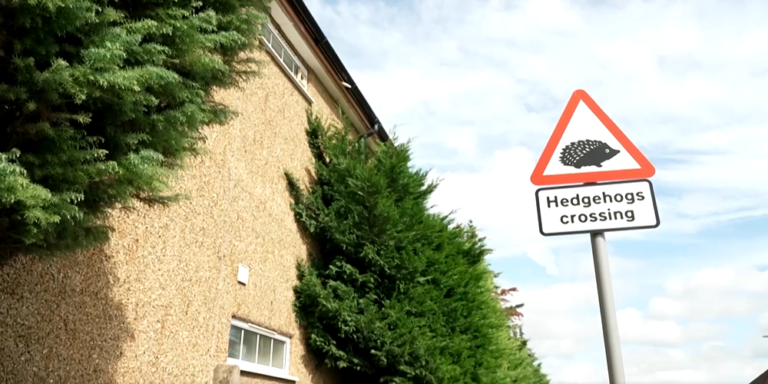 Sünátkelőhelyeket avattak Angliában