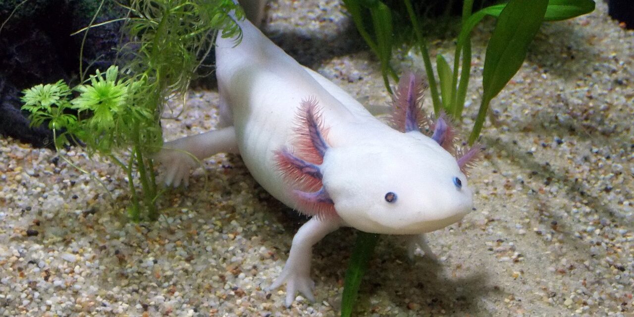 Porno jinsiy aloqa multfilmlar B-chashka kokrak porno video