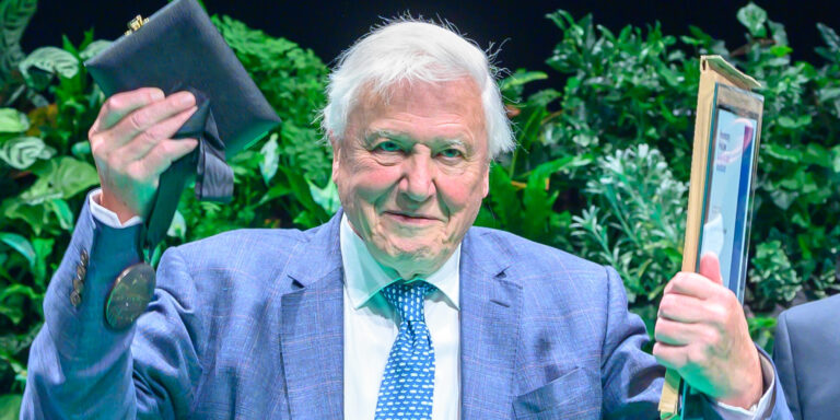 David Attenborough-ról egy férget, Venomról egy pókot neveztek el nemrég