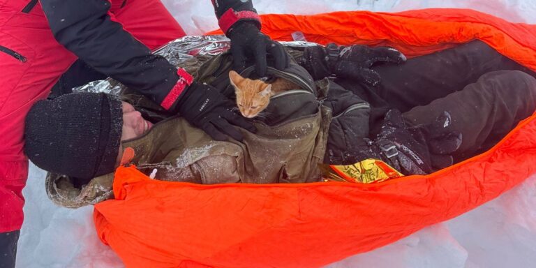 Egy macska tartotta életben a hegyekben elakadt gazdáját