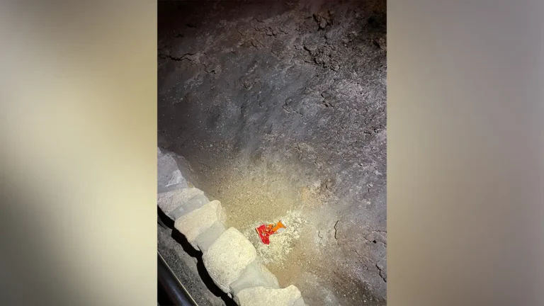 Szoborcsókolgatás, harapdálás a repülőgépen: ők voltak a tavalyi év legcikibb turistái