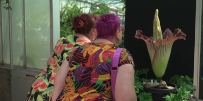 Az év legbüdösebb időszaka: megint kinyílt a titánbuzogány