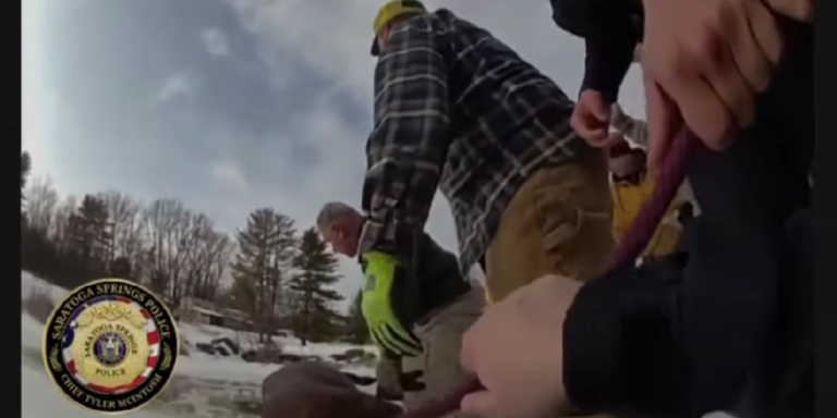 Jeges vízbe esett egy közel 600 kilós ló, elképesztő mentőakcióval húzták ki