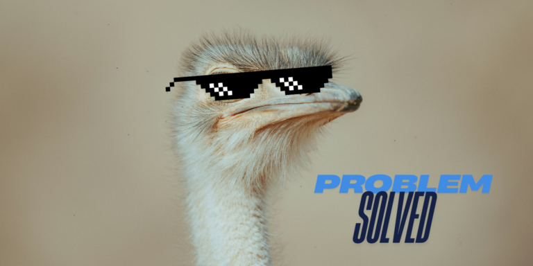 A tudósok szerint az emuk jó problémamegoldók