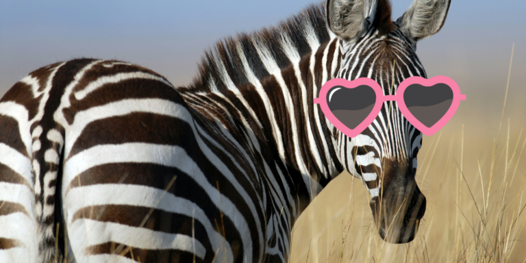 Megjött a pápafagyi, még mindig hasít nálunk a drágulás – híradó