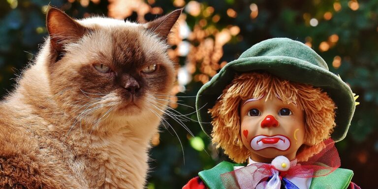 Bolondok napján idén is kitettek magukért a vállalati tréfamesterek