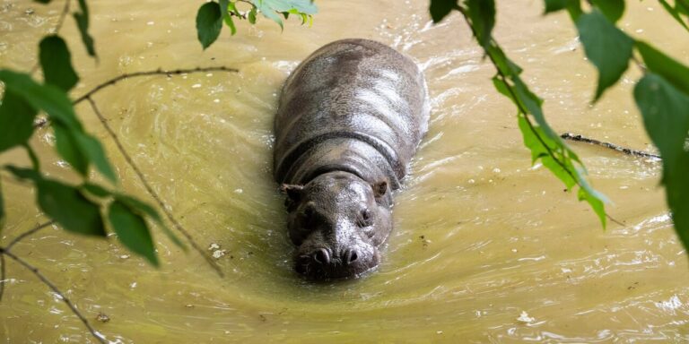 Veszélyes vezetés, leszázalékolás, dagonyaparti kedden – híradó