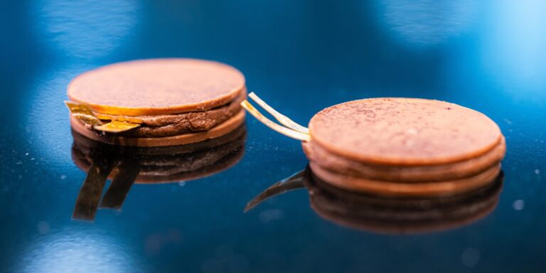 Ehető akkumulátorok is léteznek már