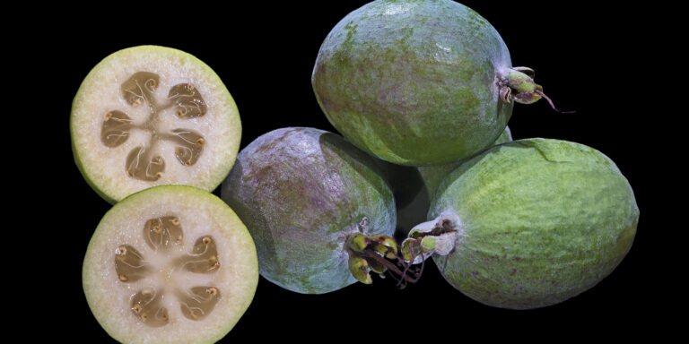 Megőrülnek az új-zélandiak, amikor érik a kedvenc gyümölcsük