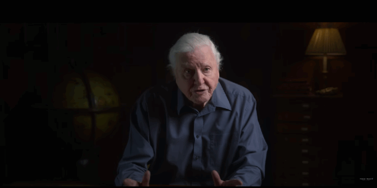 Hamarosan új filmmel jön a 99 éves David Attenborough