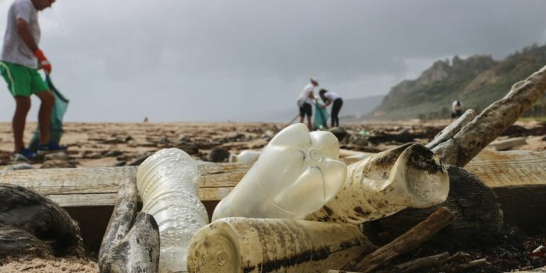 Itthon sem ártana a spogomi!