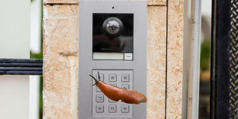 Csínytevő csigát fogtak Németországban, diákközgyűlés lesz Budapesten – híradó