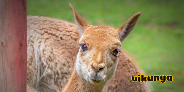 Jó reggelt kívánunk!