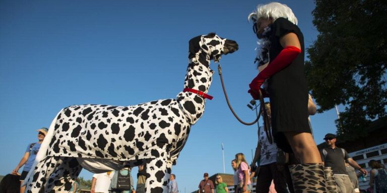 Nézegess jelmezes lámákat!