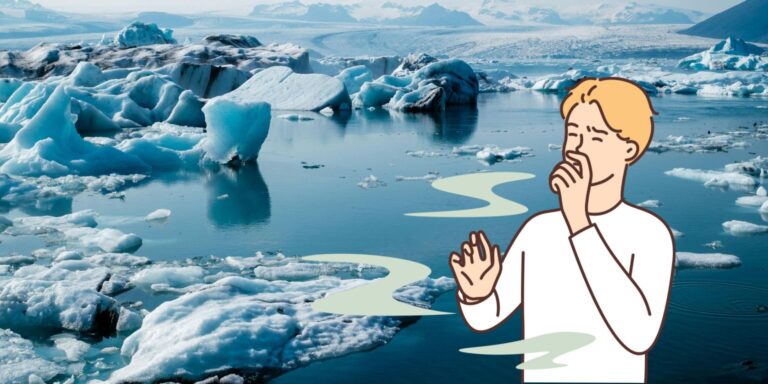 „Nagyon rossz szaga van” – 40 ezer éves ősi lelet támadt fel Alaszkában