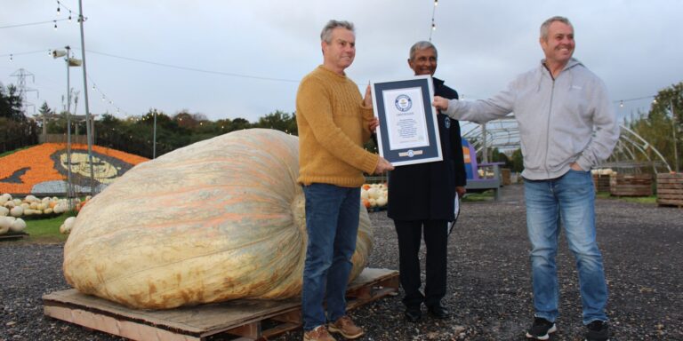 A világ legnagyobb töke akkora, mint egy kisebb autó