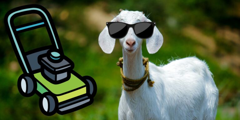 Problémás paprikás krumpli miatt indult vizsgálat, fűnyírók helyett kecskék kaszálnak – híradó