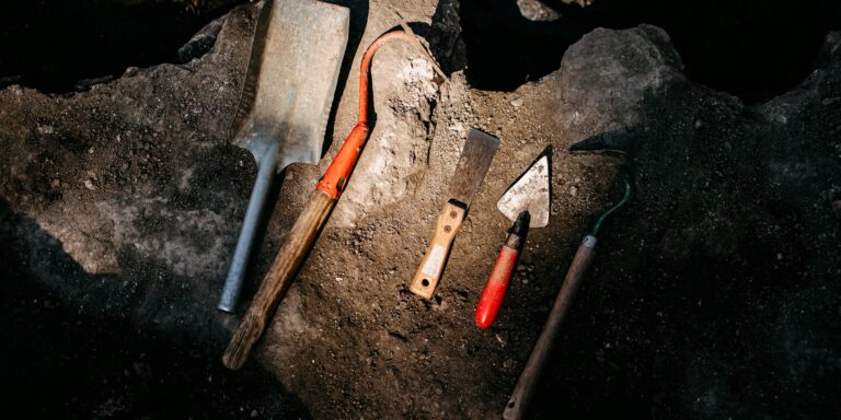 Iskolások segítettek megtalálni egy 8000 éves ír települést