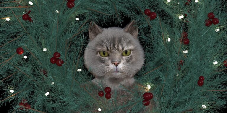 A magyar válogatotton gúnyolódik az írországi Lidl, megvan az ország karácsonyfája – híradó