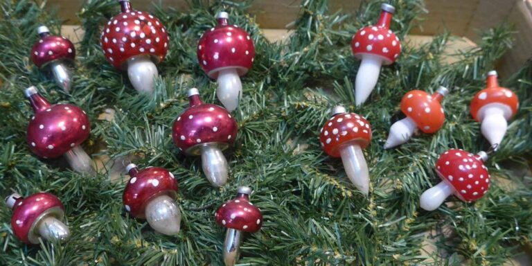 Mi közük a gombáknak a karácsonyhoz?