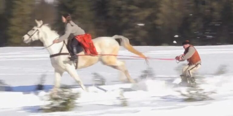 Egyre népszerűbb sport a lovassíelés