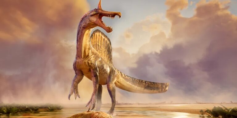 Felfedeztek egy eddig ismeretlen dinoszauruszt