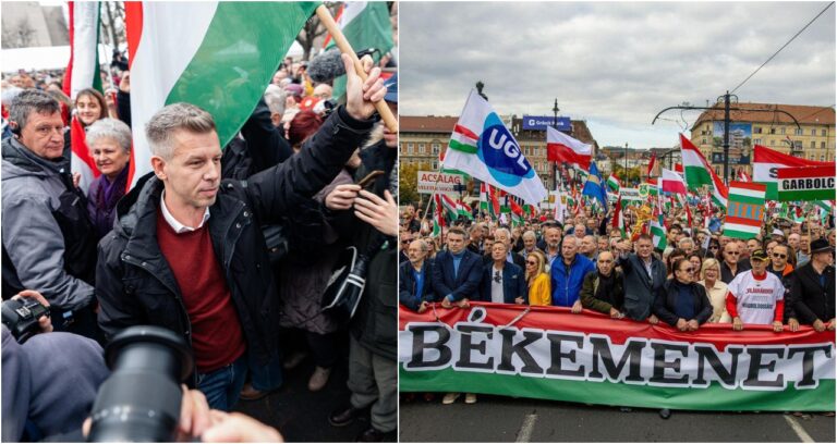 Mindenki meghirdette a legnagyobb március 15-i vonulást, medve ólálkodik a főváros környékén – híradó