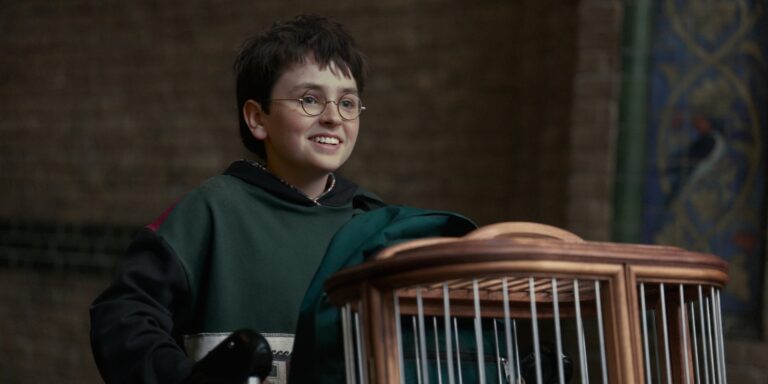 Indul a Harry Potter-sorozat – de szükség van rá egyáltalán?