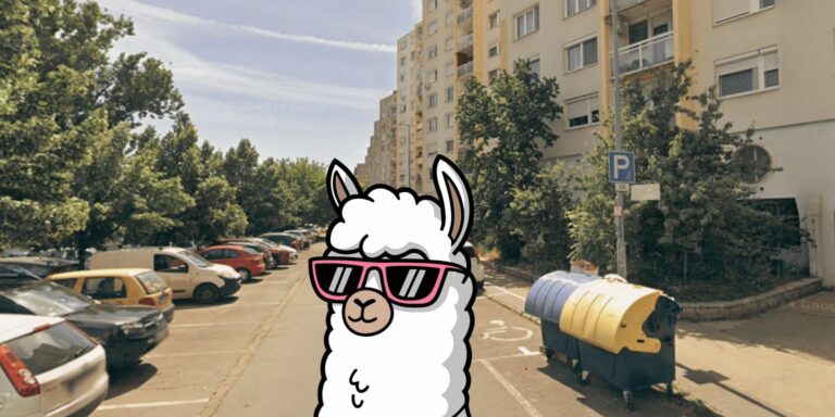 Elszabadult láma és visszalépő jelöltek is jutottak mára – híradó