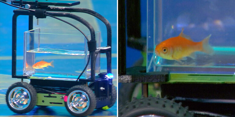 Egy aranyhal hajtotta kisautót díjazott a Guinness Világrekordok