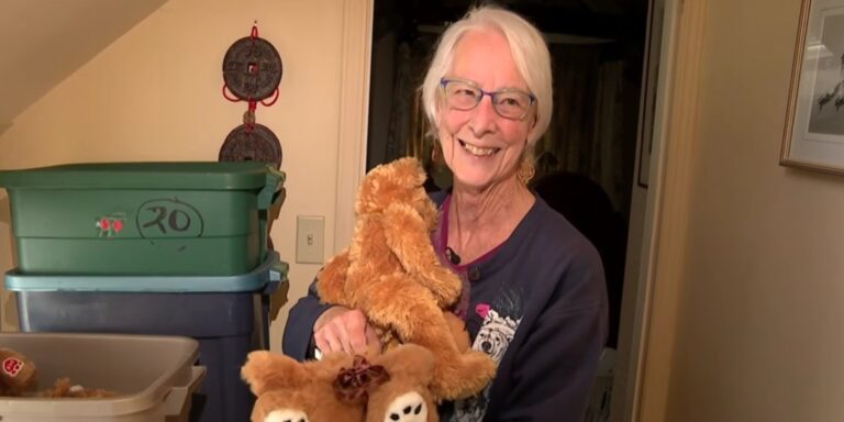 Több száz állatot „mentett meg” egy kanadai plüssmacidoktor