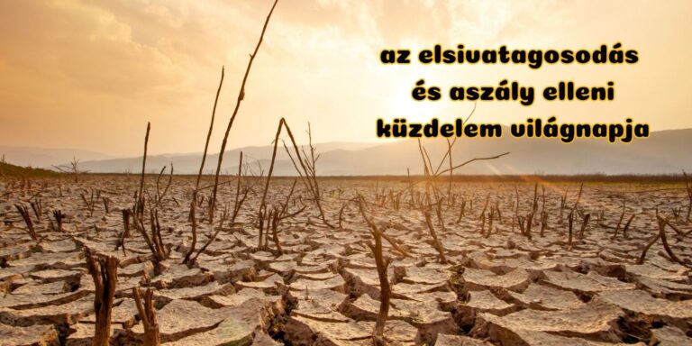 Jó reggelt!