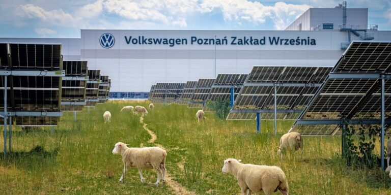 Szőrös, tollas munkatársak a modern világban